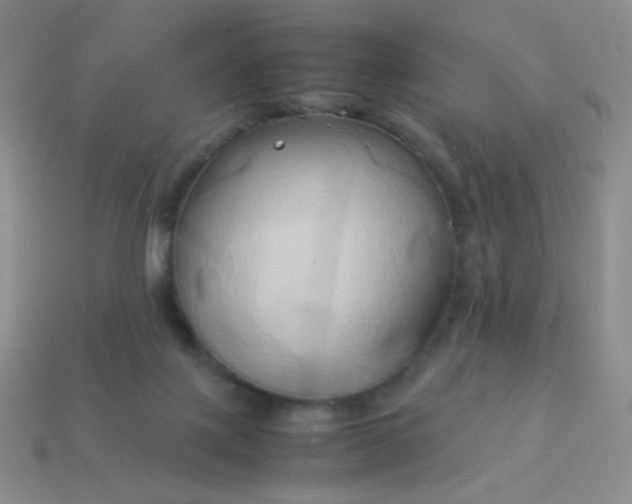X0000114150075200910221556