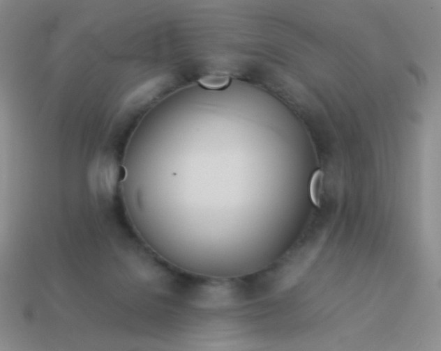 X0000114150076200910221556