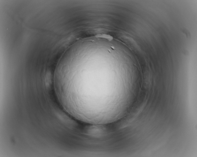 X0000114150077200910221556