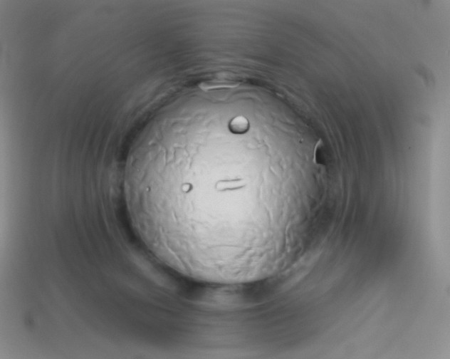 X0000114150078200910221556