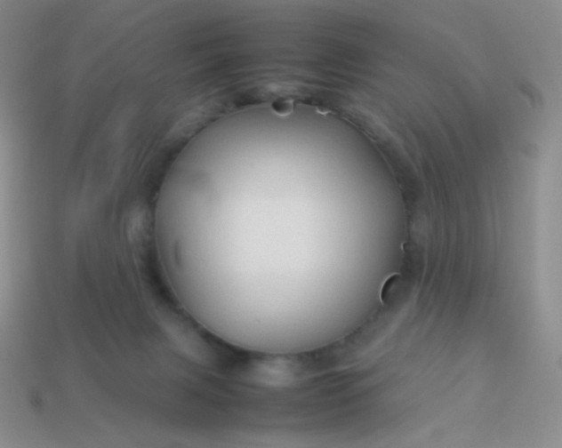 X0000114150079200910221556