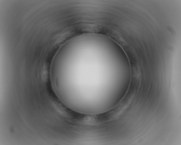 X0000114150080200910221556