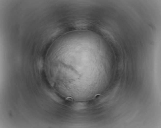X0000114150081200910221556
