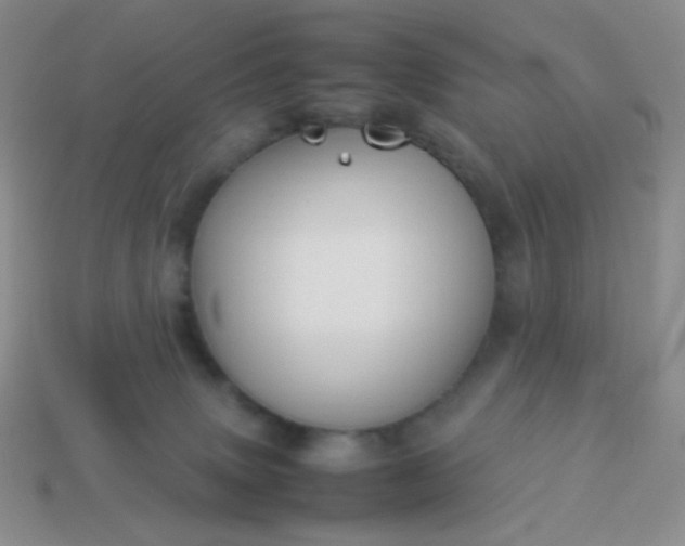 X0000114150083200910221556