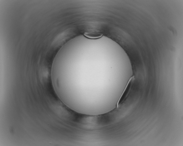 X0000114150084200910221556