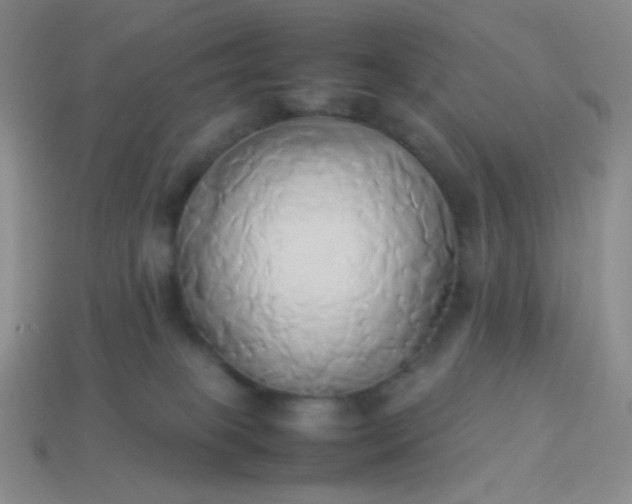 X0000114150085200910221556