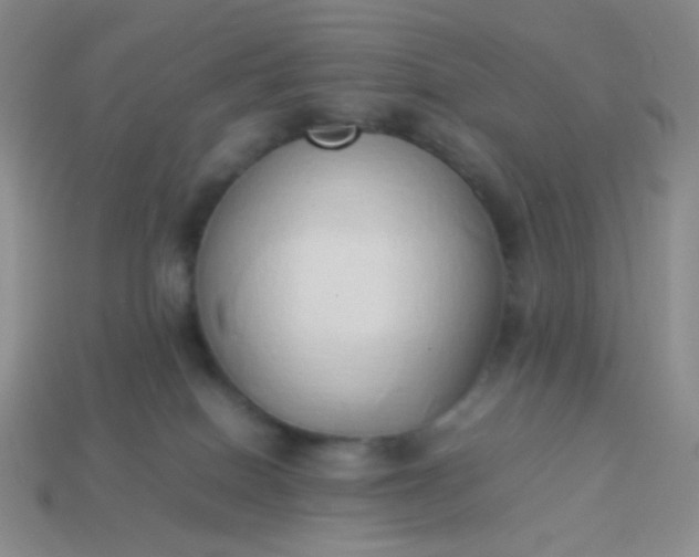 X0000114150086200910221556