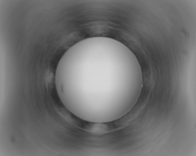 X0000114150087200910221556