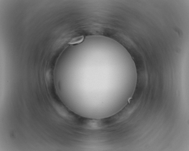 X0000114150088200910221556