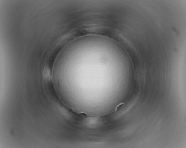X0000114150089200910221556