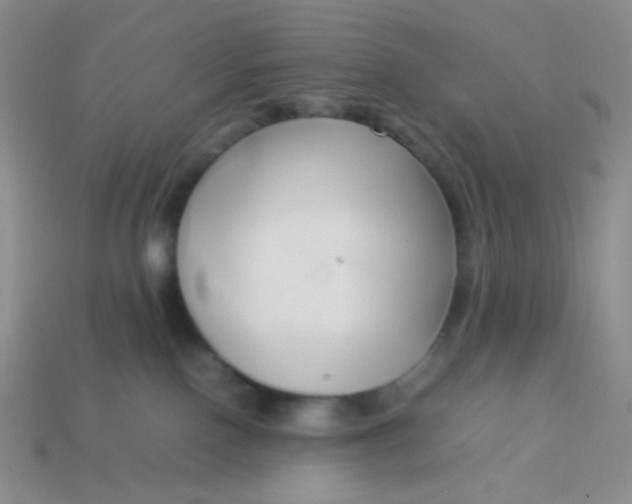 X0000114150090200910221556