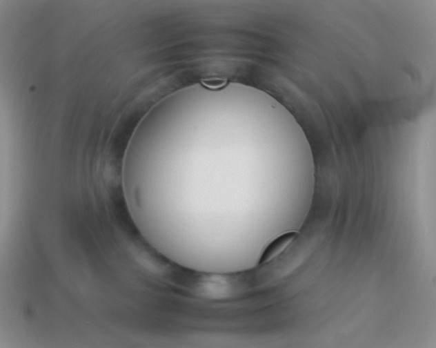 X0000114150091200910221556