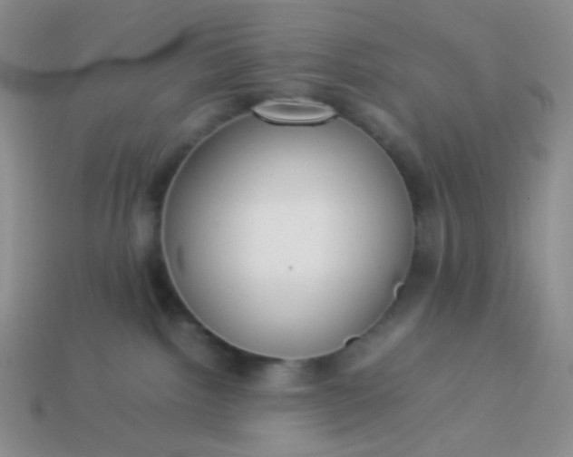 X0000114150092200910221556