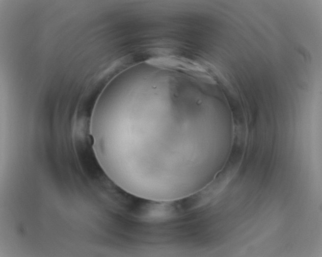 X0000114150093200910221556