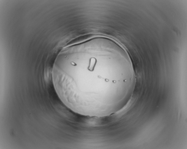 X0000114150094200910221556