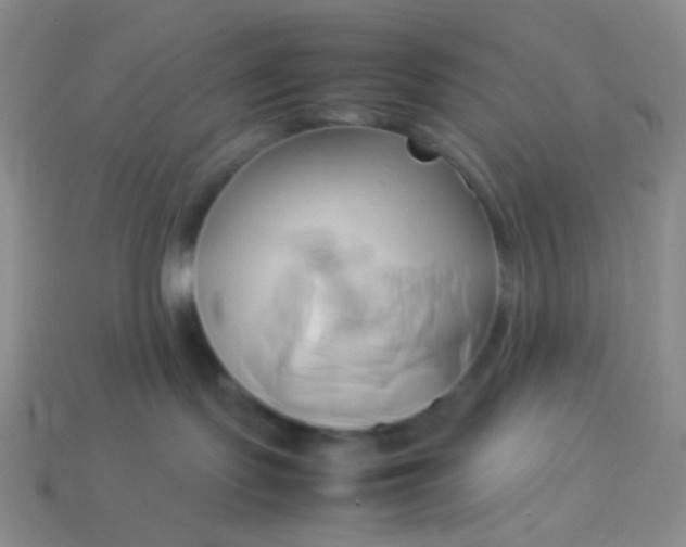 X0000114150095200910221556