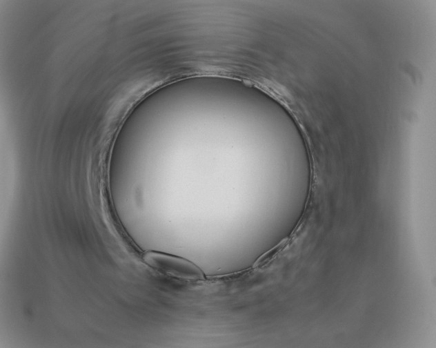 X0000114150097200910221555