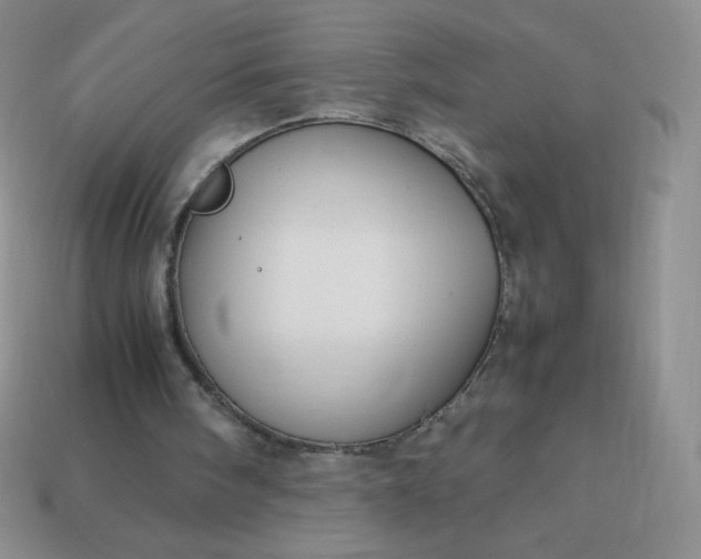 X0000114150098200910221555