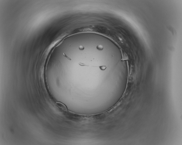 X0000114150099200910221555