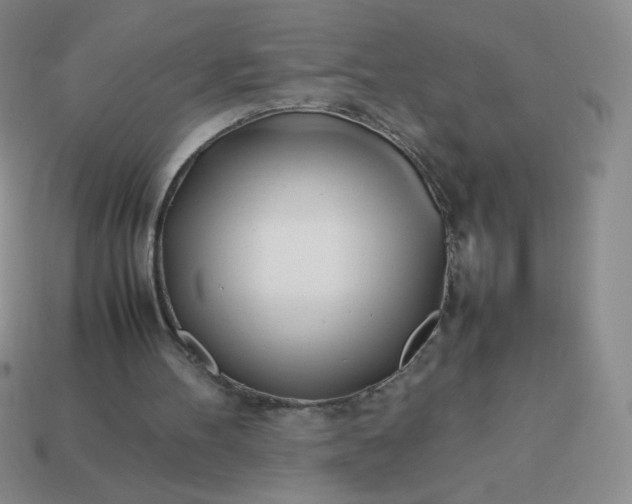 X0000114150100200910221555