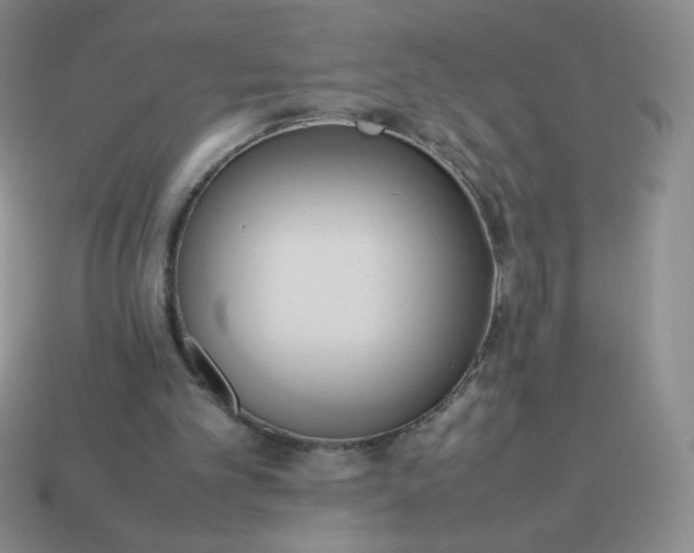 X0000114150101200910221555