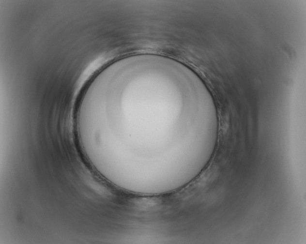 X0000114150102200910221555