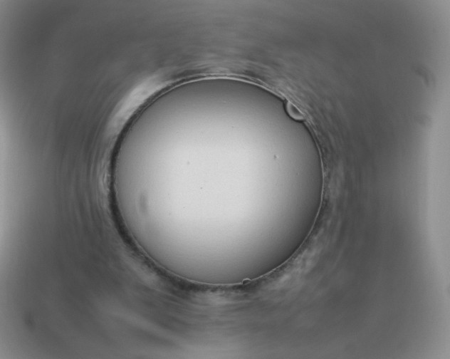 X0000114150103200910221555