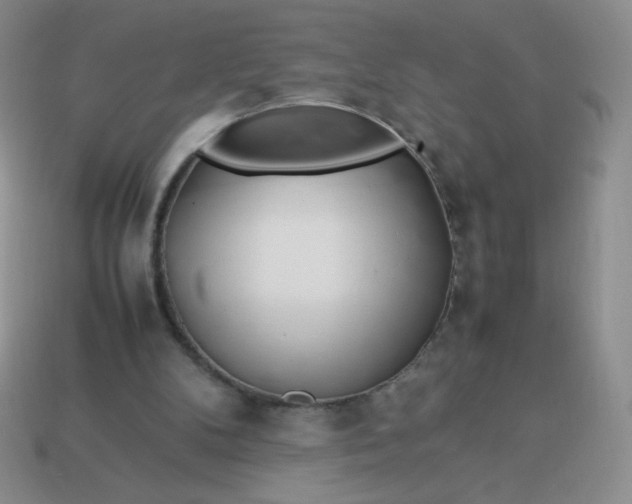 X0000114150104200910221555