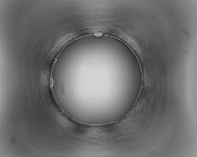 X0000114150105200910221555