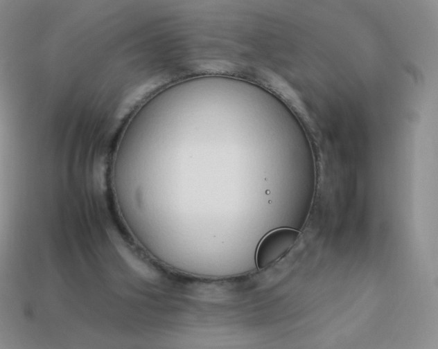 X0000114150106200910221555