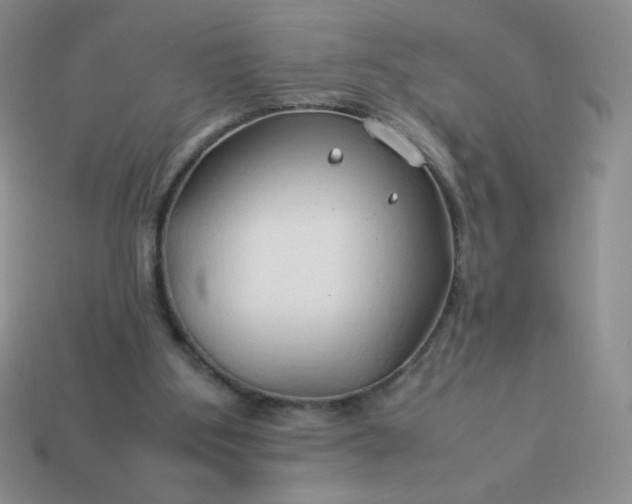 X0000114150107200910221555