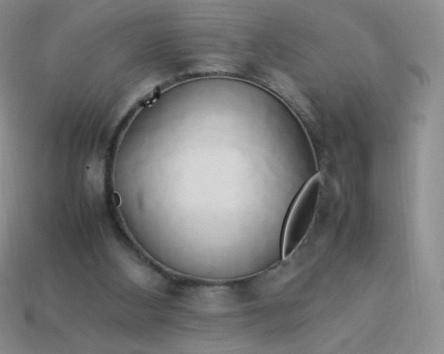 X0000114150108200910221555