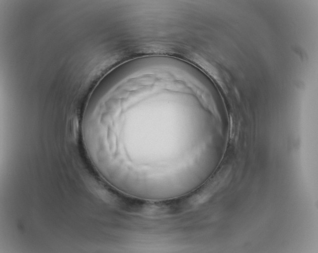 X0000114150109200910221555