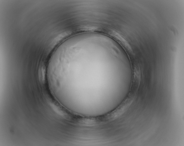 X0000114150110200910221555