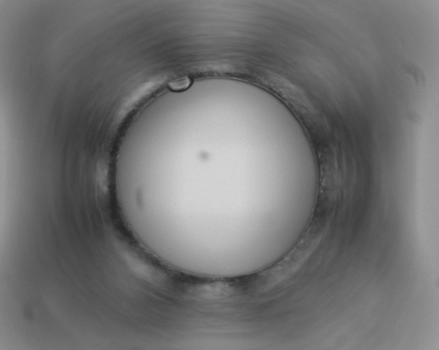 X0000114150112200910221555