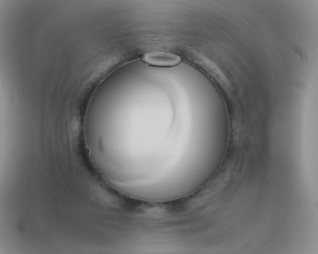 X0000114150113200910221555