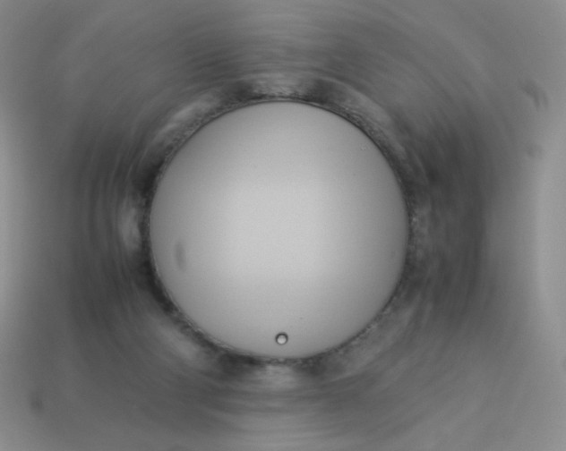 X0000114150114200910221555