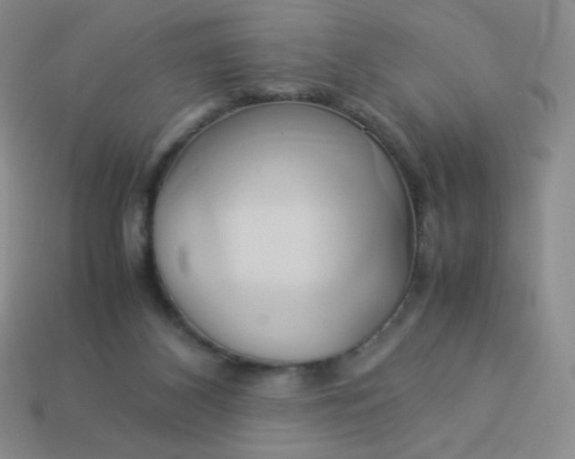 X0000114150116200910221555