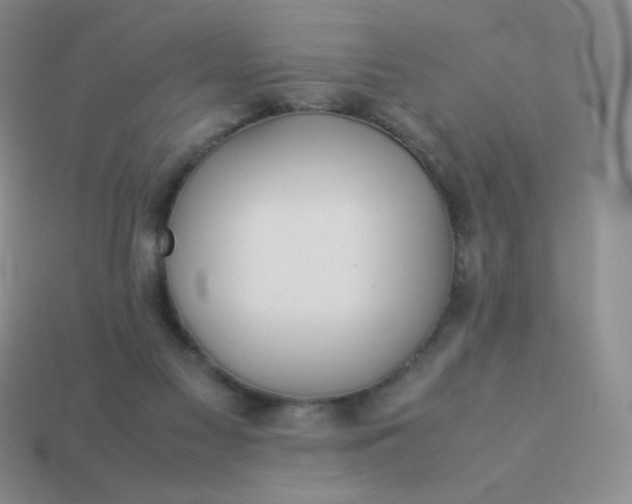 X0000114150117200910221555