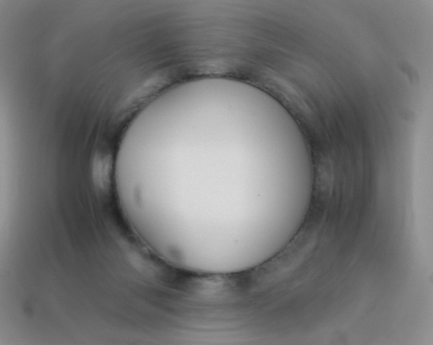 X0000114150118200910221555