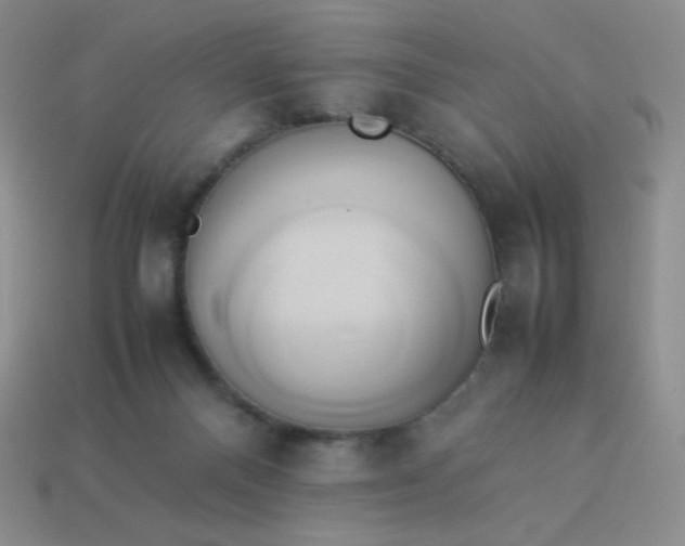 X0000114150120200910221555