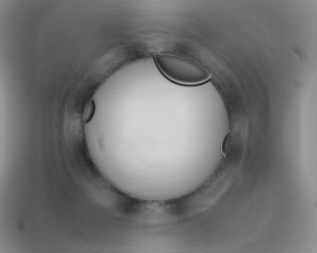 X0000114150121200910221555