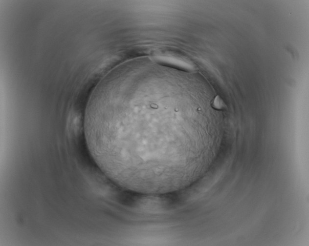 X0000114150123200910221555