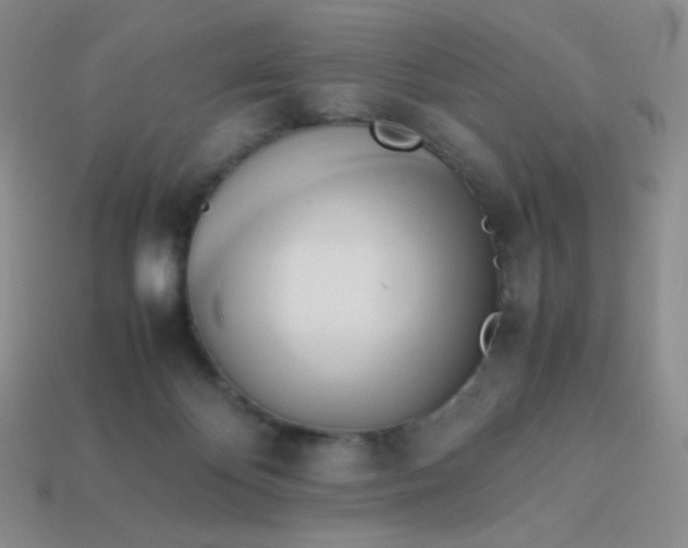 X0000114150124200910221555