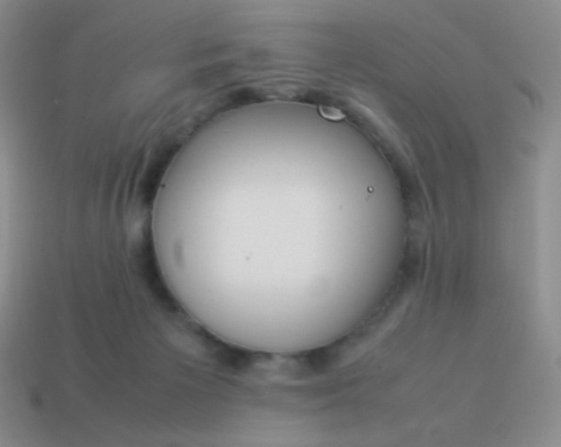 X0000114150125200910221555