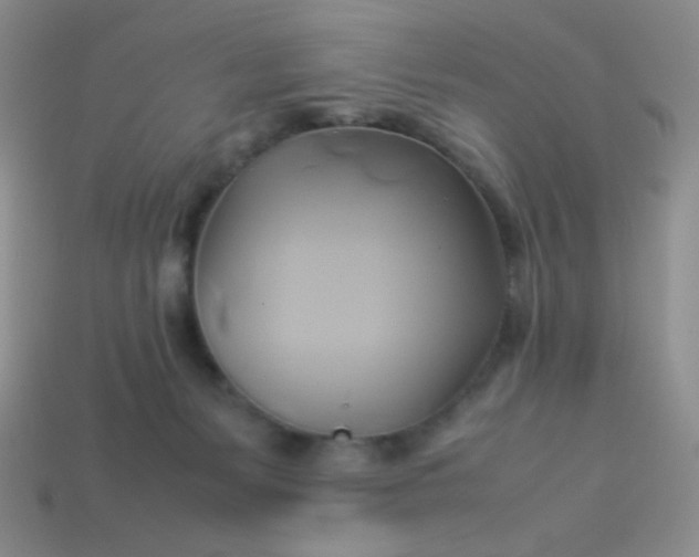 X0000114150127200910221555