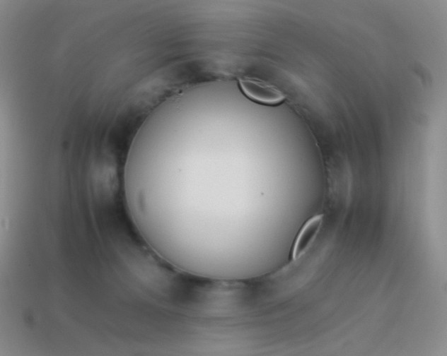 X0000114150128200910221555