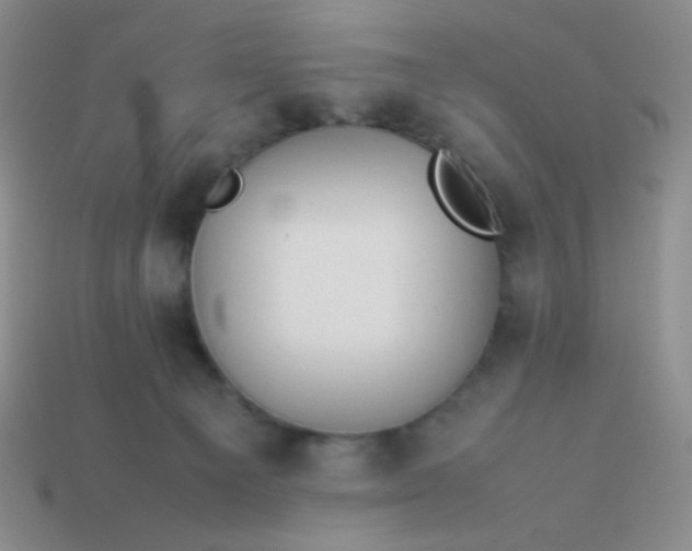 X0000114150129200910221555