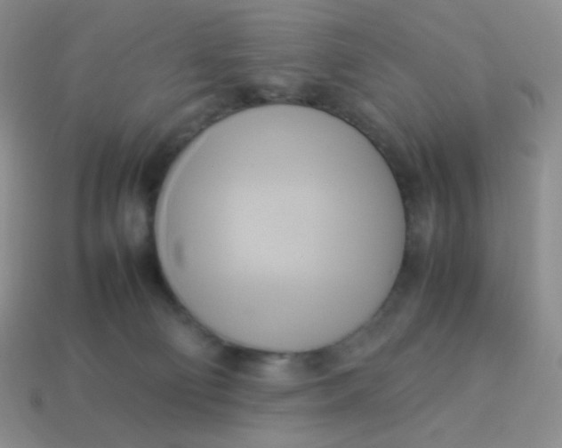 X0000114150130200910221555