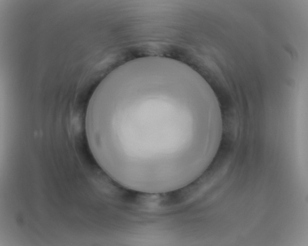 X0000114150131200910221555